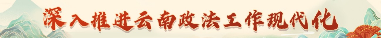 深入推進云南政法工作現代化